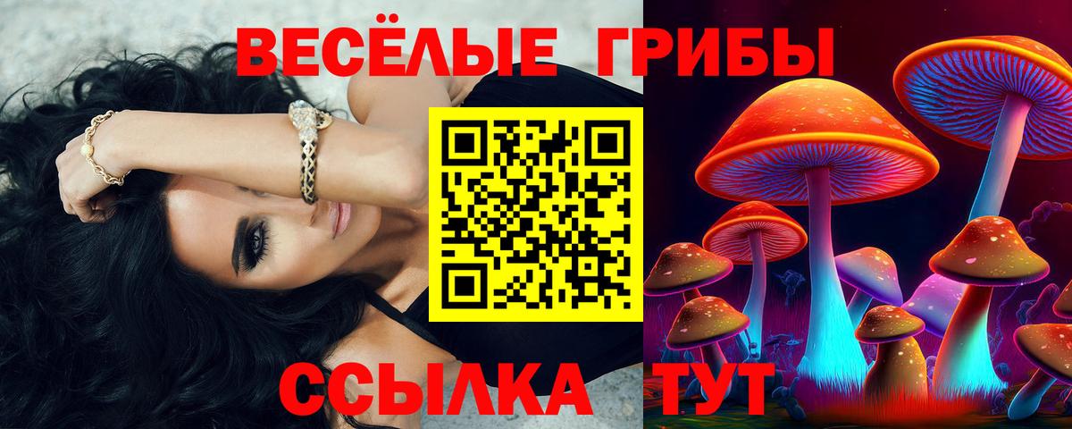Галлюциногенные грибы Psilocybine cubensis Октябрьский