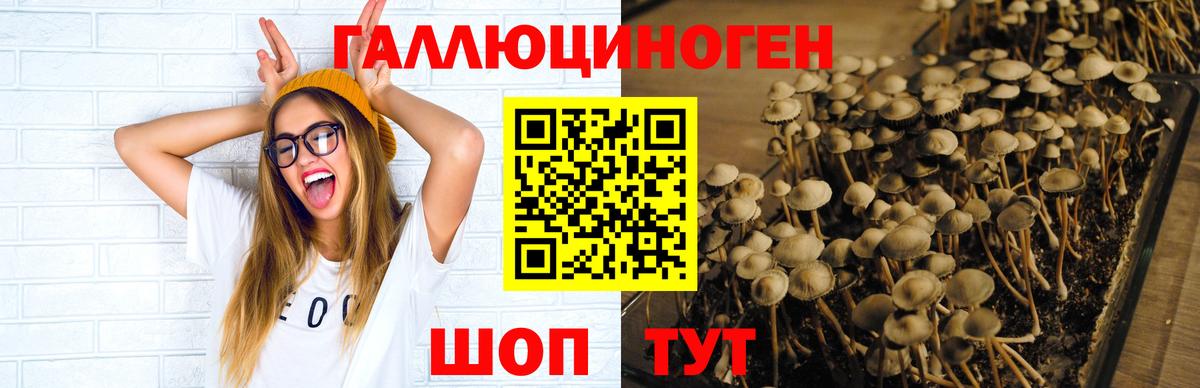 Октябрьский  Галлюциногенные грибы ЛСД  Галлюциногенные грибы Cubensis  Вход с VPN 